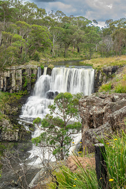 istock Ebor Falls, Guy Fawkes National Park 2237041971