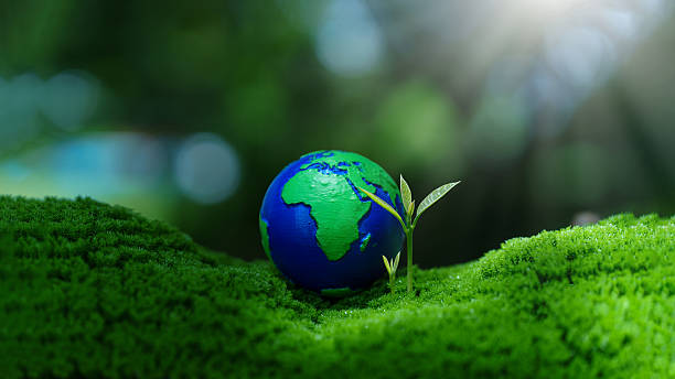 istock Earth globe on green moss with a young plant growing, symbolizing growth and hope. Concept for sustainability, Environmental, reforestation, Earth Day, World Environment Day, ESG, CSR, CCS, CO2, SDGS. 2237047064