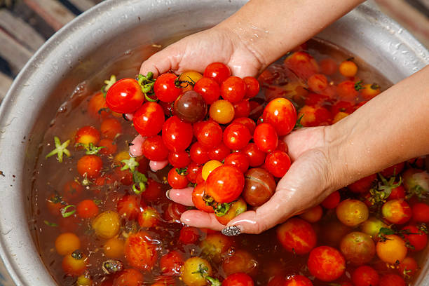 istock Person is holding a bowl of tomatoes 2237048664