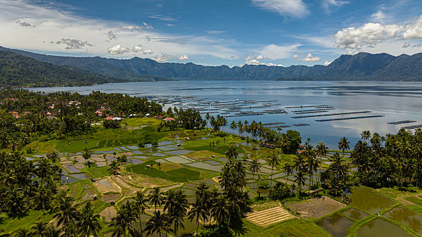Top view of rice fields and farmland in the highlands next to the lake Maninjau. Sumatra, Indonesia.