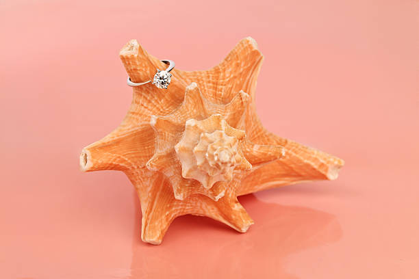 A ring is placed on top of a seashell. The seashell is a large, orange conch shell
