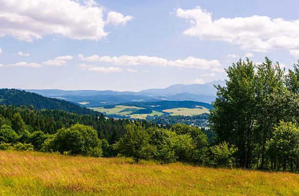 istock Countryside meadow with trees and distant mountain view 2237054817
