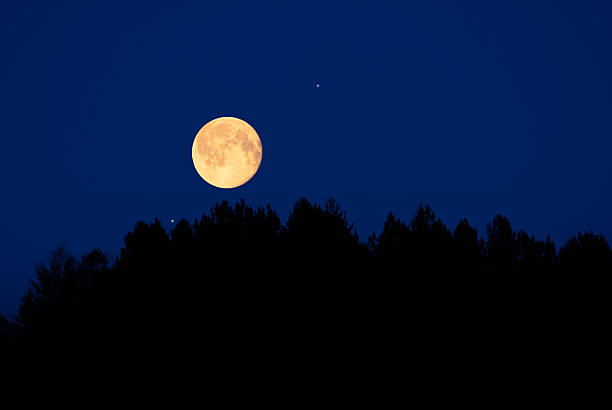 istock Full Moon, stars, planets and landscape scenery silhouettes. 2237054844
