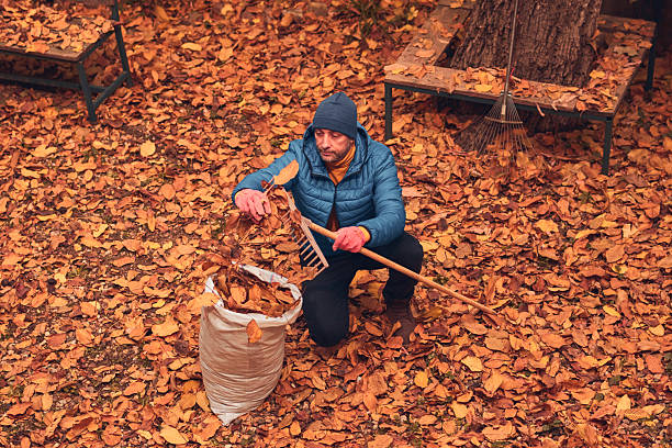 istock Man cleaning garden from fallen autumn leaves. 2237055452