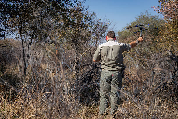 Three friends enjoying an exciting safari game drive experience through a national park