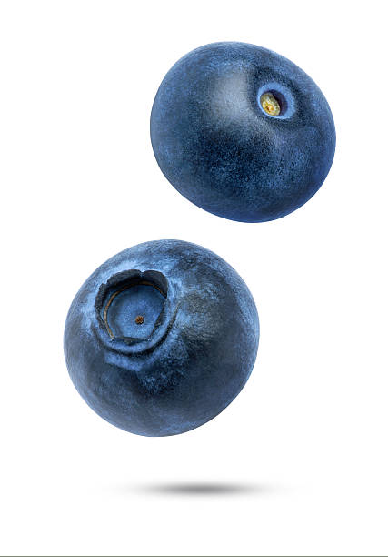 Blueberry