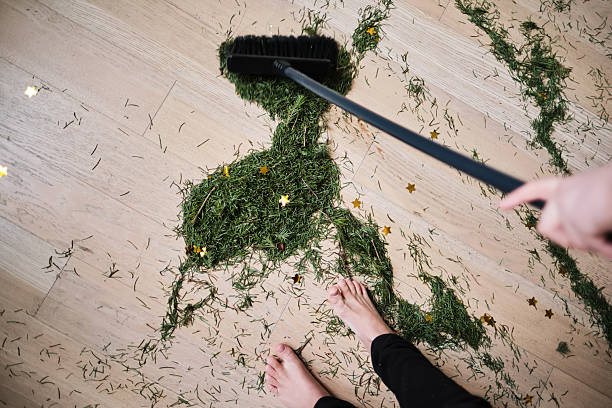 istock A broom that sweeps the needles from the Christmas tree. 2237062723