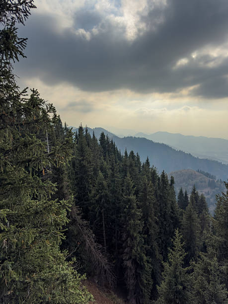 istock Almaty Kazakhstan mountains. 2237065813