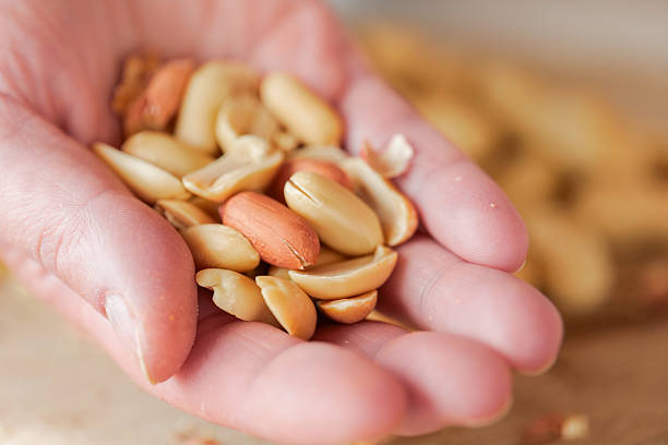 istock Close-Up of Hand Holding Shelled Peanuts 2237069447