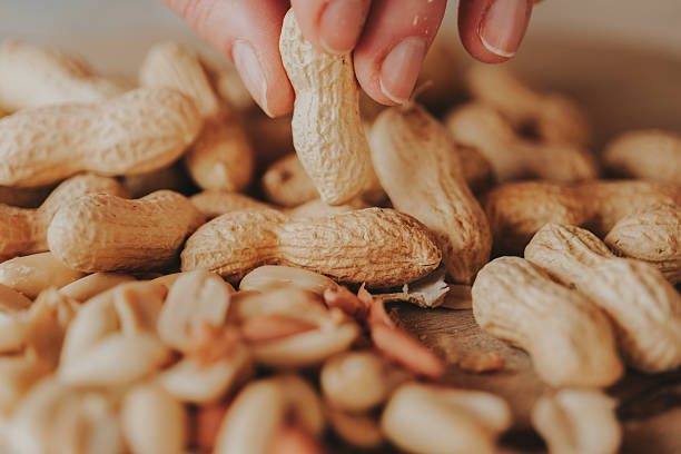 istock Peanut cleaning process.Close-up of fingers peeling peanut kernels from their shells 2237069486