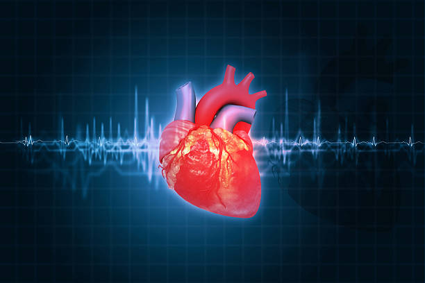 istock Human heart on Electrocardiogram Graphic background 2237071008