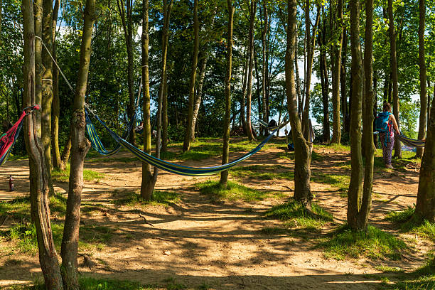 Czorsztyn, Poland – August 5, 2025: Hammocks tied between trees offer a shaded resting place for visitors near Czorsztyn Lake. A tranquil summer retreat with relaxation, nature, and leisure activities in the forested lakeside area.