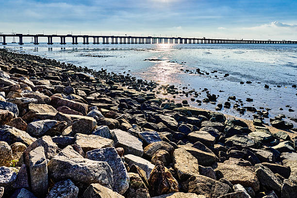 The Markerwadden in the Netherlands  is a new made Nature Reserve for Birds and Recreation, There are a lot of lakes and Creeks for birds and Watch Towers for Birders.
