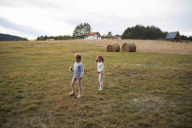 Children's plastic toy machine outdoor in the green grass among dandelions. Summer sunny day.
