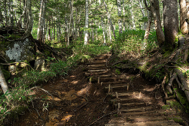 istock Climbing the mountain trail to Mount Ontake 2237084733
