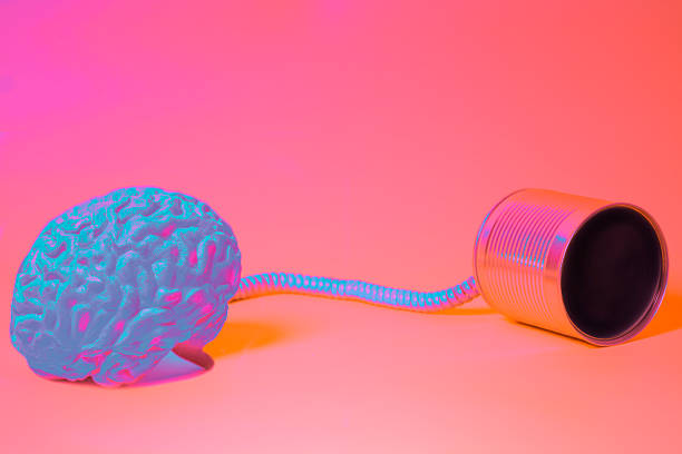 istock tin can phone with human brain anatomical model. communication concept 2237086452