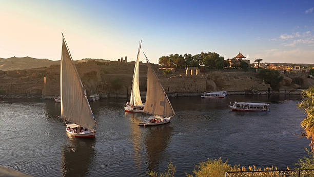 istock felucca boats on Nile river in Aswan Egypt 2237088599