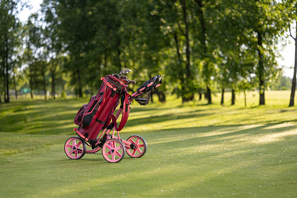 Asian man driving a golf cart on a golf course