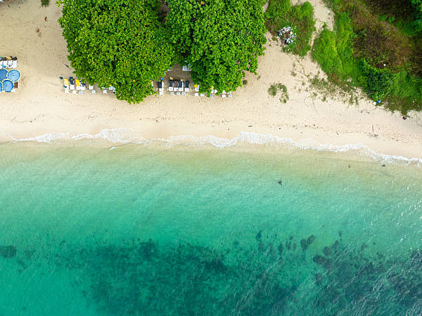 istock Aerial white sand sea beach with green tropical palm tree 2237094473
