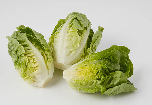 Fresh lettuce wrap isolated nature background with clipping path