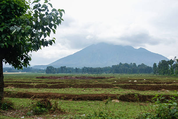 istock Terraced Fields and a Mountain in the Rwandan Highlands 2237108869