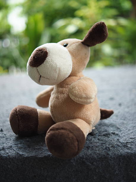 istock dog doll sitting on garden and greenbackground 2237113428