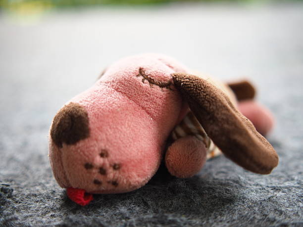 istock dog doll sitting on garden and greenbackground 2237113802