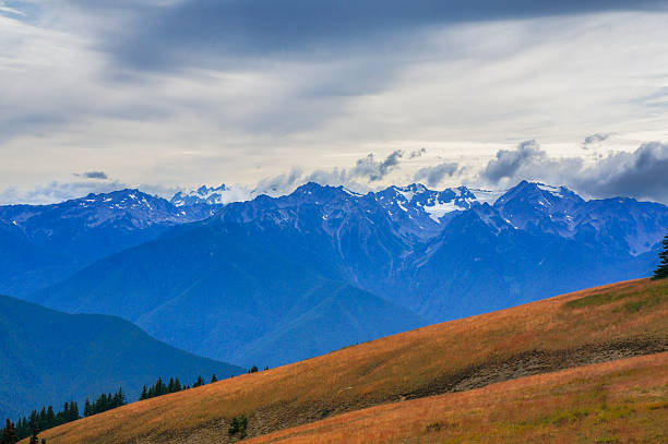 Snow-capped mountain contrasting golden valleys with  under a shaded sky