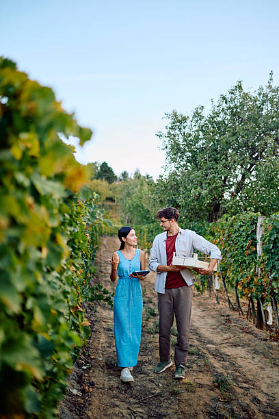 istock Couple walking and talking in vineyard discussing harvest 2237115163
