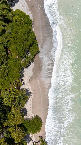 istock Aerial view of a tropical beach. 2237122215