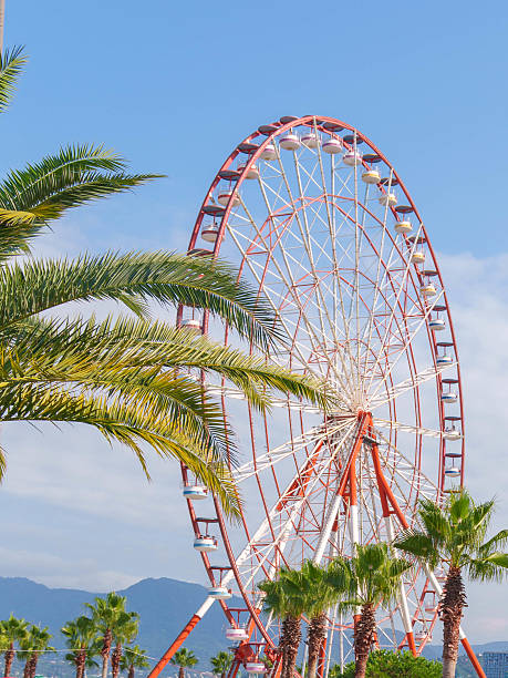 istock Palm Trees and Red Ferris Wheel in Scenic Landscape 2237124014