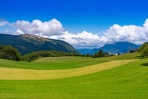Cereal fields and green meadows in the Vercors Alps France during summer rural landscape