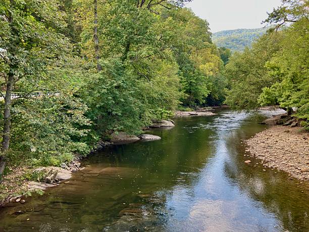 istock Rural river landscape with trees and river banks. 2237127050