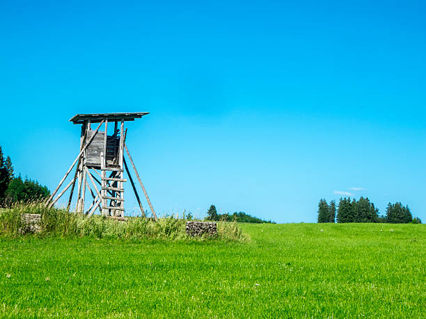 istock Hunters stand on a pasture in Bavaria 2237136790