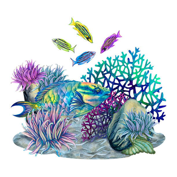 istock Neon tropical parrot fish among multicolored mesh fire corals, sea anemones, stones. Undersea view watercolor template for marine design, cards, posters sticker, scrapbook, textile, diving, snorkeling 2237136857