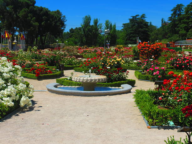 istock La Rosaleda Park in Madrid. 2237138591