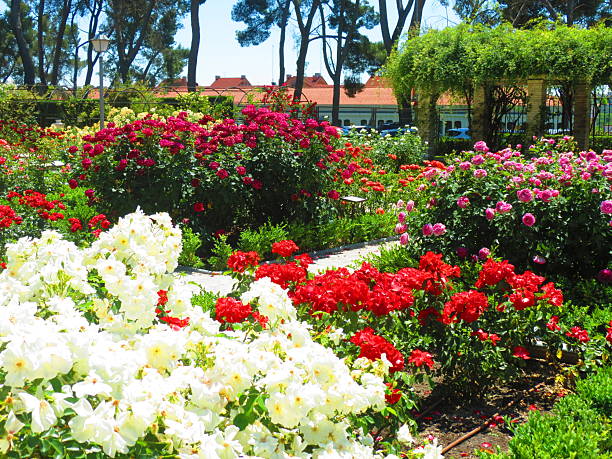 istock La Rosaleda Park in Madrid. 2237138606