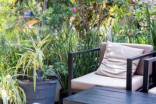 istock Single chair in the garden 2237138717