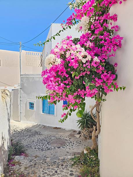 istock Santorini architecture with white walls 2237139780