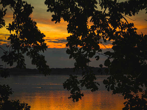 Peaceful sunset over a lake in Torgau, Saxony, Germany. Dark silhouettes of tree leaves frame the glowing orange and yellow sky, reflected in the calm lake water. Atmospheric landscape ideal for travel, backgrounds, and relaxation themes.