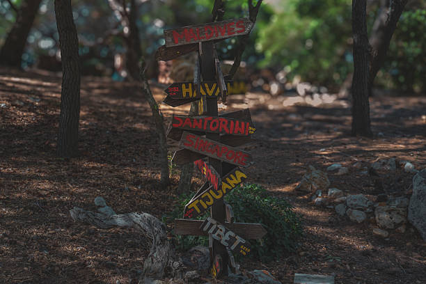 istock Rustic Travel Signpost Pointing to Global Destinations 2237144379