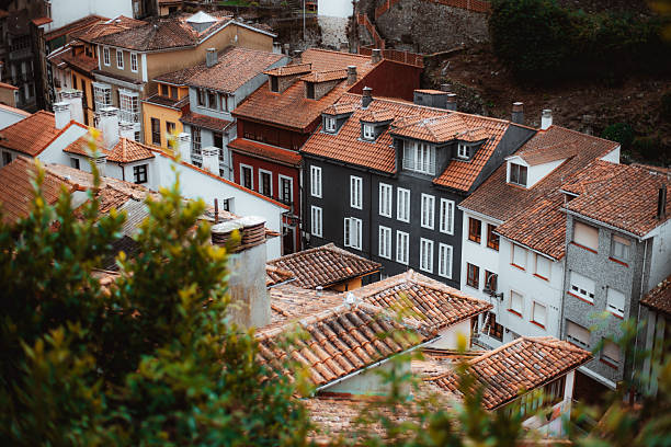 Spanish tiled roof houses