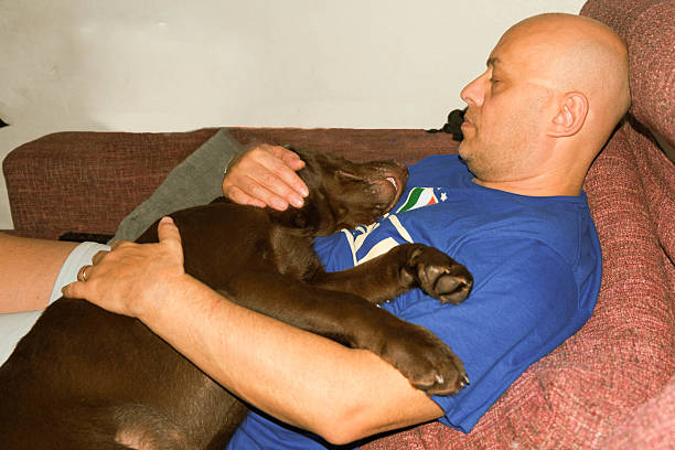 A man is laying on a couch with a brown dog on his lap. The man is wearing a blue shirt and the dog is sleeping
