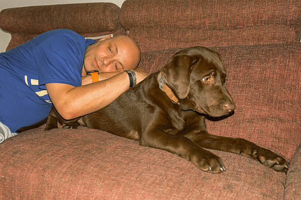 A man is laying on a couch with his dog on his lap. The dog is brown and has a collar around its neck. The man is wearing a blue shirt and a watch. The scene is relaxed and comfortable, with the man