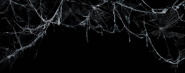 istock Spooky Cobweb On A Dark Background - Real Creepy Spiderweb - Halloween 2237151441