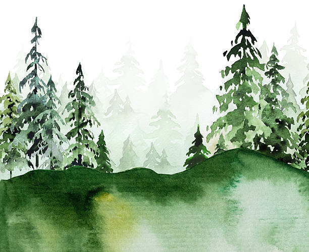 istock Hand drawn watercolor green spruce or pine tree misty forest, winter isolated illustration 2237151508