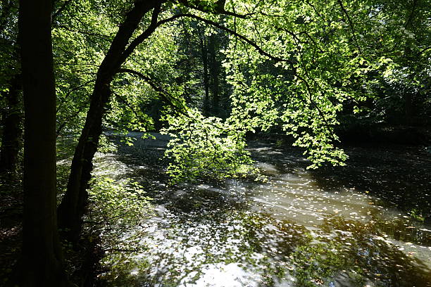 istock shore of a lake 2237155773