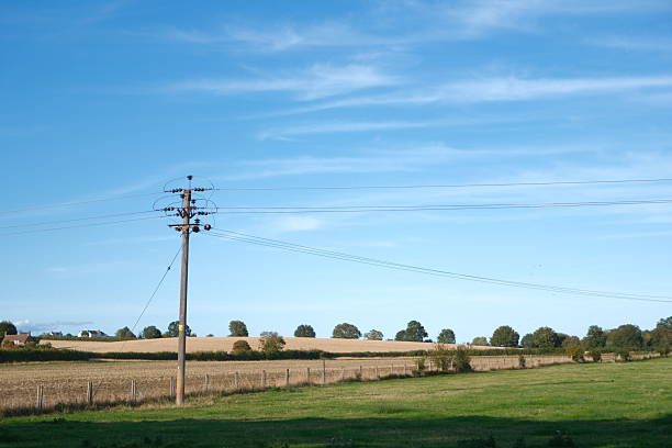 Wooden pylon in a countryside field on a sunny day