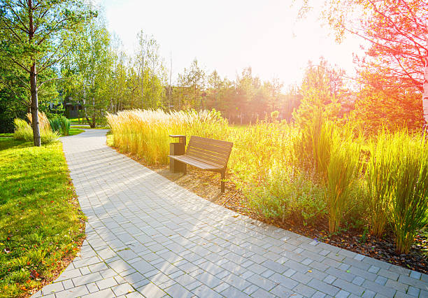 Pathway in Sunny Park With Wooden Bench, Tall Grass. Bright sunlight filters through trees in peaceful park, paved pathway leads past lush greenery and bench for relaxation. Public space landscaping.