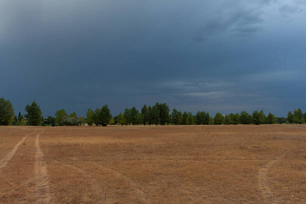 The sun sets behind a dry, expansive field, casting warm light across the landscape. Dark clouds gather in the sky, creating a contrasting mood. Trees line the horizon.